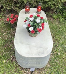 img36523.jpg