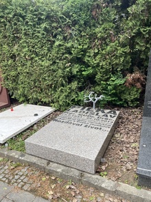 img36529.jpg