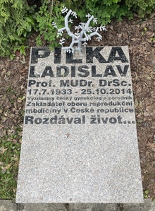 img36530.jpg