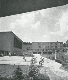img36548.jpg