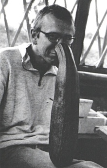 img36568.jpg