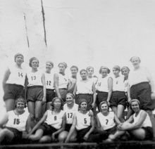 img36710.jpg