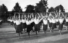 img36714.jpg