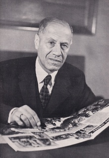 img36736.jpg