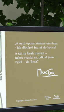 img36747.jpg