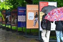 img36763.jpg