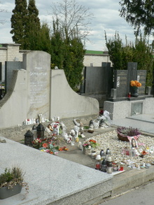 img36800.jpg