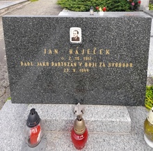 img36842.jpg