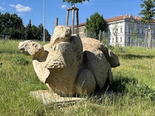 img36846.jpg