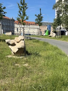 img36848.jpg