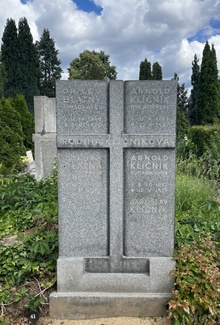 img36858.jpg