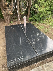 img36863.jpg