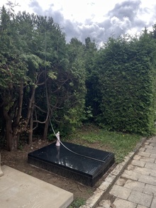 img36866.jpg