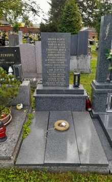 img36874.jpg
