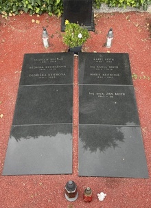 img36878.jpg