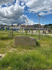 img36888.jpg