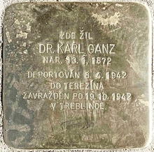Kámen zmizelého: uctění památky oběti holocaustu - K. Ganz