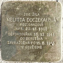 Kámen zmizelého: uctění památky oběti holocaustu - M. Doczekalová
