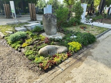 img36930.jpg