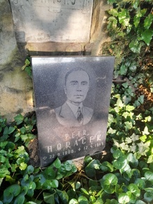 img36932.jpg