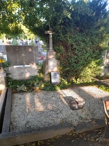 img36933.jpg