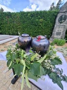 img36936.jpg