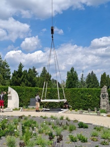 img36937.jpg