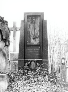 img37005.jpg