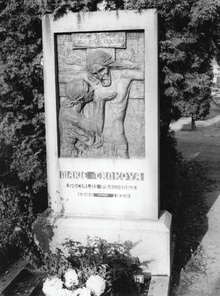 img37009.jpg