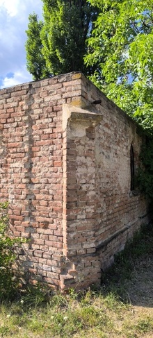 img37015.jpg