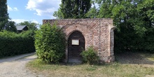 img37019.jpg