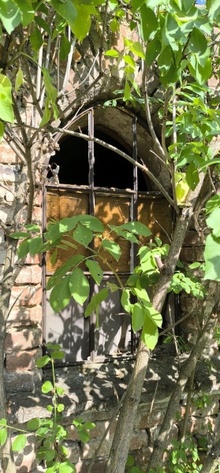 img37020.jpg