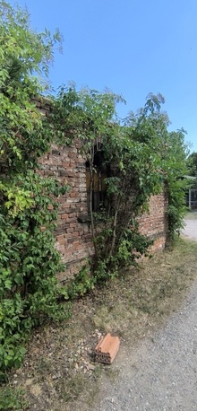 img37023.jpg