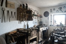 img37031.jpg