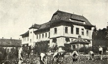 img37041.jpg