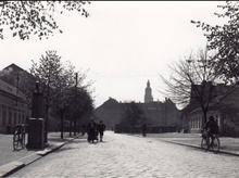 img37101.jpg