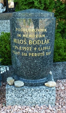img37111.jpg