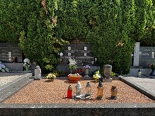 img37112.jpg