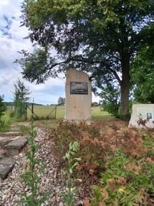 img37134.jpg