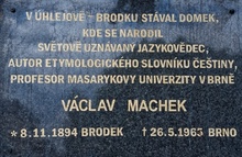 img37136.jpg