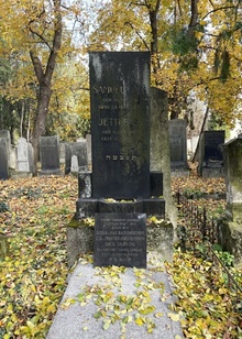img37139.jpg