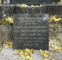 img37140.jpg