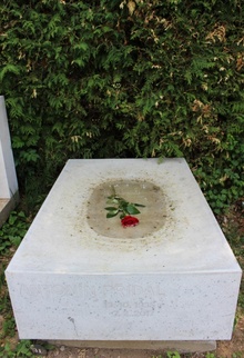 img37145.jpg