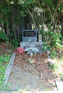 img37156.jpg