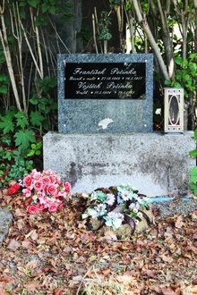 img37157.jpg
