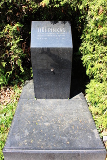 img37159.jpg