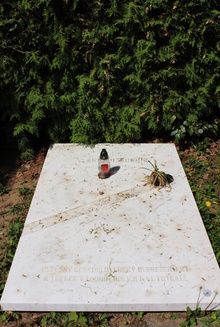 img37160.jpg