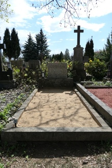 img37161.jpg