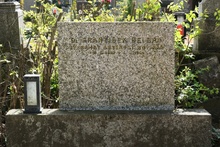 img37162.jpg