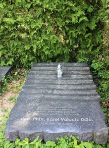 img37163.jpg